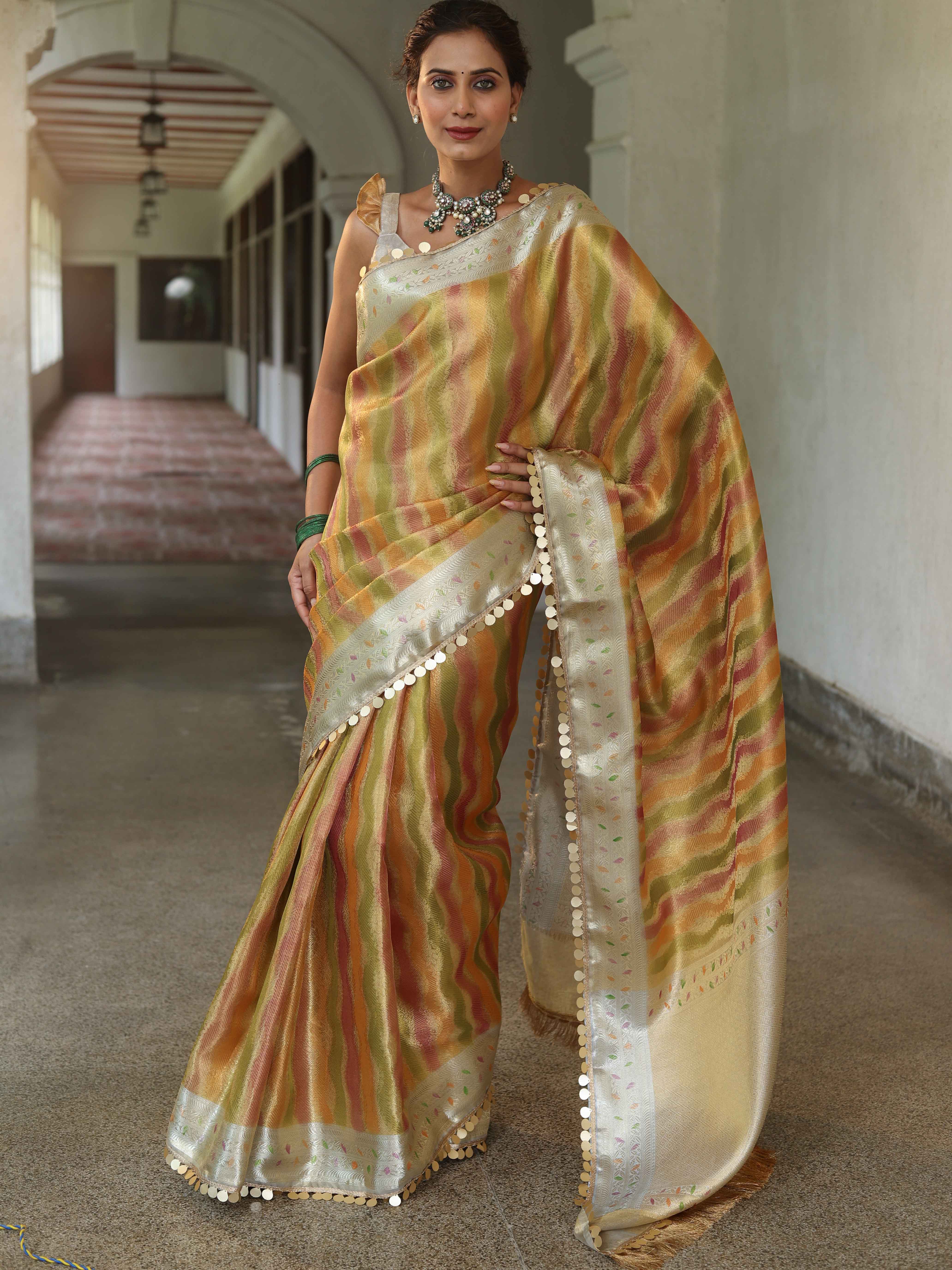 Banarasee Handwoven Tissue Saree With Hand Brush Paint Zari Design & Lace-Multicolor