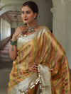 Banarasee Handwoven Tissue Saree With Hand Brush Paint Zari Design & Lace-Multicolor