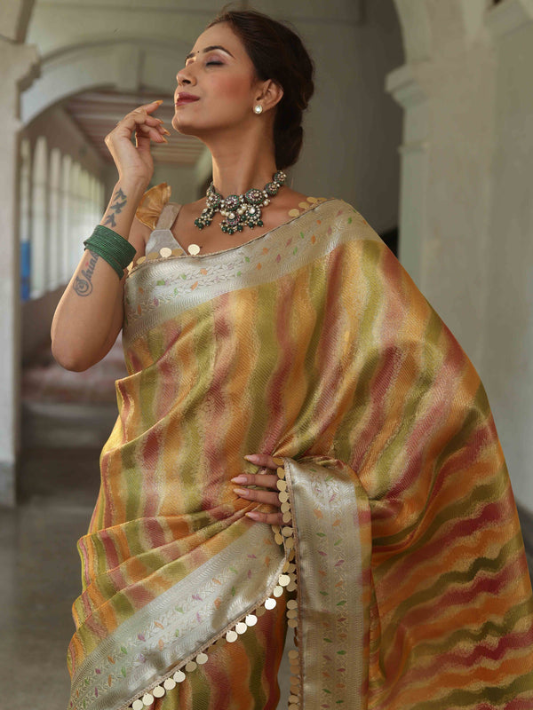 Banarasee Handwoven Tissue Saree With Hand Brush Paint Zari Design & Lace-Multicolor