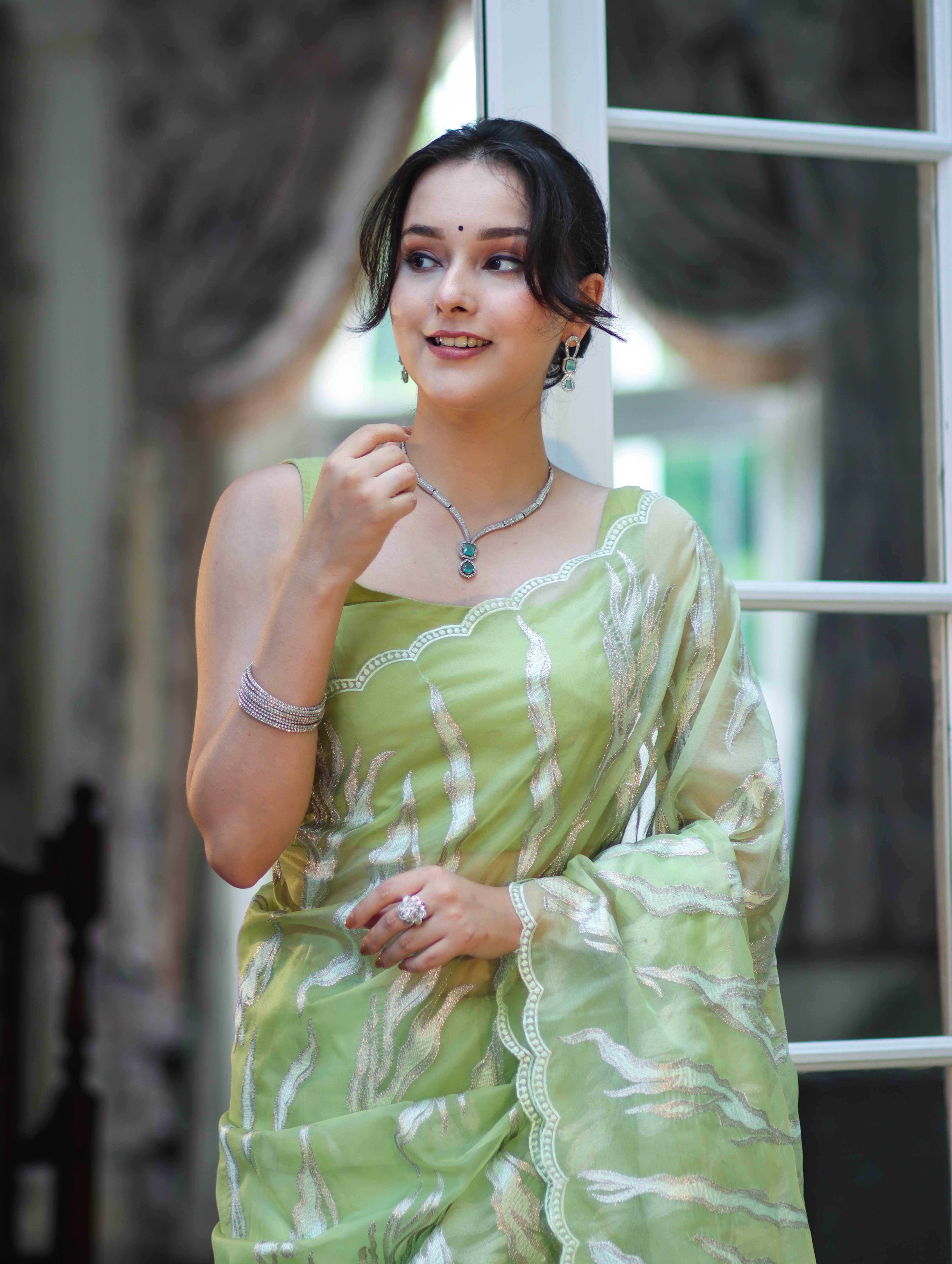 Banarasee Handloom Organza Saree With Resham Zari Work & Scallop Border-Light Green