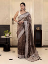Banarasee Handwoven Crushed Tissue Saree With Chikankari Work-Dark Brown
