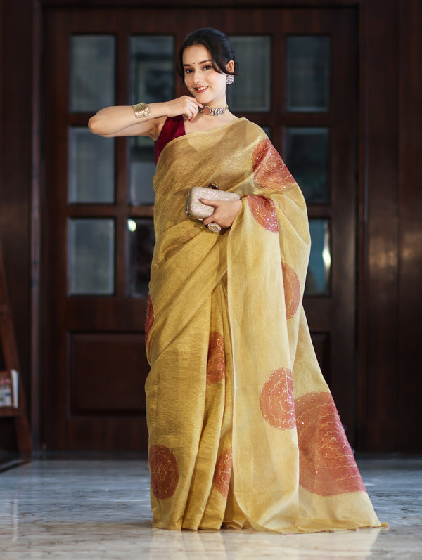 Banarasee Crushed Tissue Handwork Saree Work With Contrast Blouse-Gold
