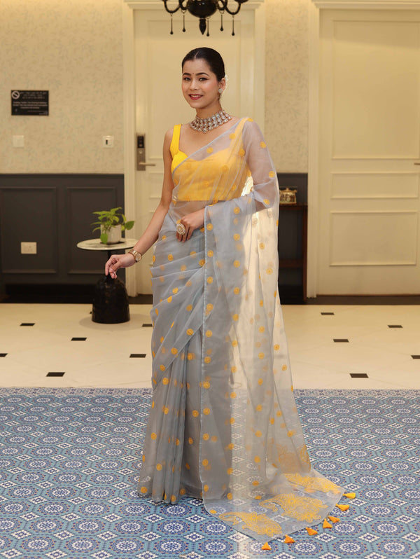 Banarasee Organza Mix Saree With Embroidered Buta & Applique Work Pallu-Light Blue