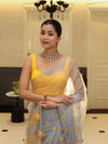 Banarasee Organza Mix Saree With Embroidered Buta & Applique Work Pallu-Light Blue