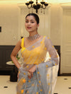 Banarasee Organza Mix Saree With Embroidered Buta & Applique Work Pallu-Light Blue