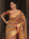 Banarasee Handwoven Crushed Tissue Saree-Multicolor