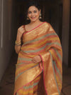 Banarasee Handwoven Crushed Tissue Saree-Multicolor