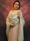 Banarasee Chanderi Cotton Salwar Kameez Set With Zari Work-Mauve & Blue