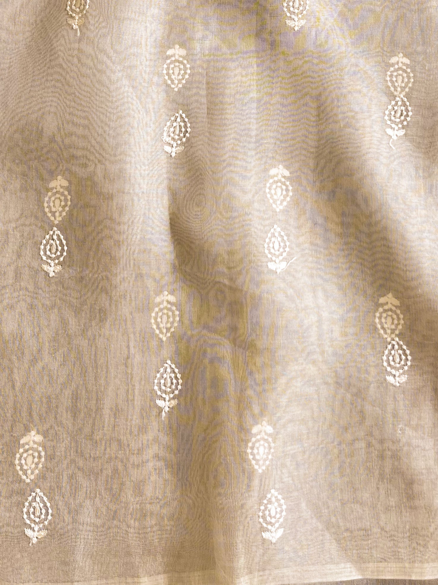Banarasee Pure Organza Silk Saree With Floral Resham Embroidery-Off-white