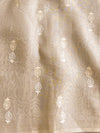 Banarasee Pure Organza Silk Saree With Floral Resham Embroidery-Off-white