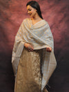 Banarasee Chanderi Cotton Salwar Kameez Set With Zari Work-Brown & Blue