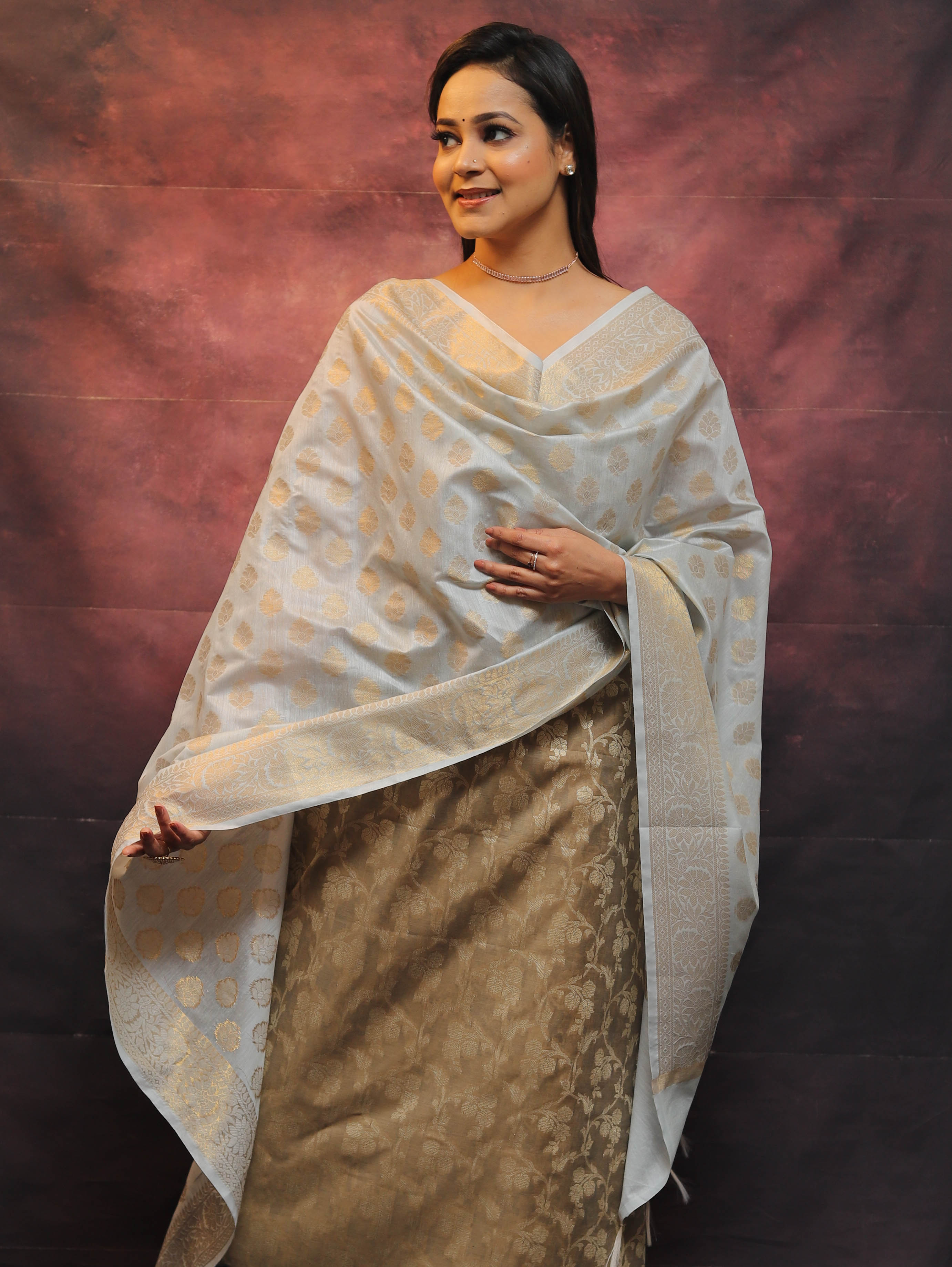 Banarasee Chanderi Cotton Salwar Kameez Set With Zari Work-Brown & Blue