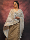 Banarasee Chanderi Cotton Salwar Kameez Set With Zari Work-Brown & Blue