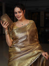 Banarasee Handloom Tissue Saree With Silver Jaal Design Tanchoi Border & Lace-Golden Yellow