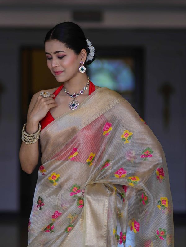 Banarasee Handloom Tissue Saree With Thread Embroidery & Contrast Pallu-Gold & Red
