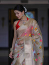 Banarasee Handloom Tissue Saree With Thread Embroidery & Contrast Pallu-Gold & Red