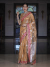 Banarasee Handloom Tissue Saree With Buta Design & Contrast Lace Border-Gold