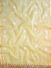 Banarasee Kota Doria Hand-Embroidered Salwar Kameez With Dupatta Set-Yellow