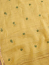 Banarasee Kota Doria Hand-Embroidered Salwar Kameez With Contrast Dupatta Set-Green & Yellow