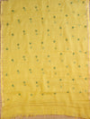Banarasee Kota Doria Hand-Embroidered Salwar Kameez With Contrast Dupatta Set-Green & Yellow