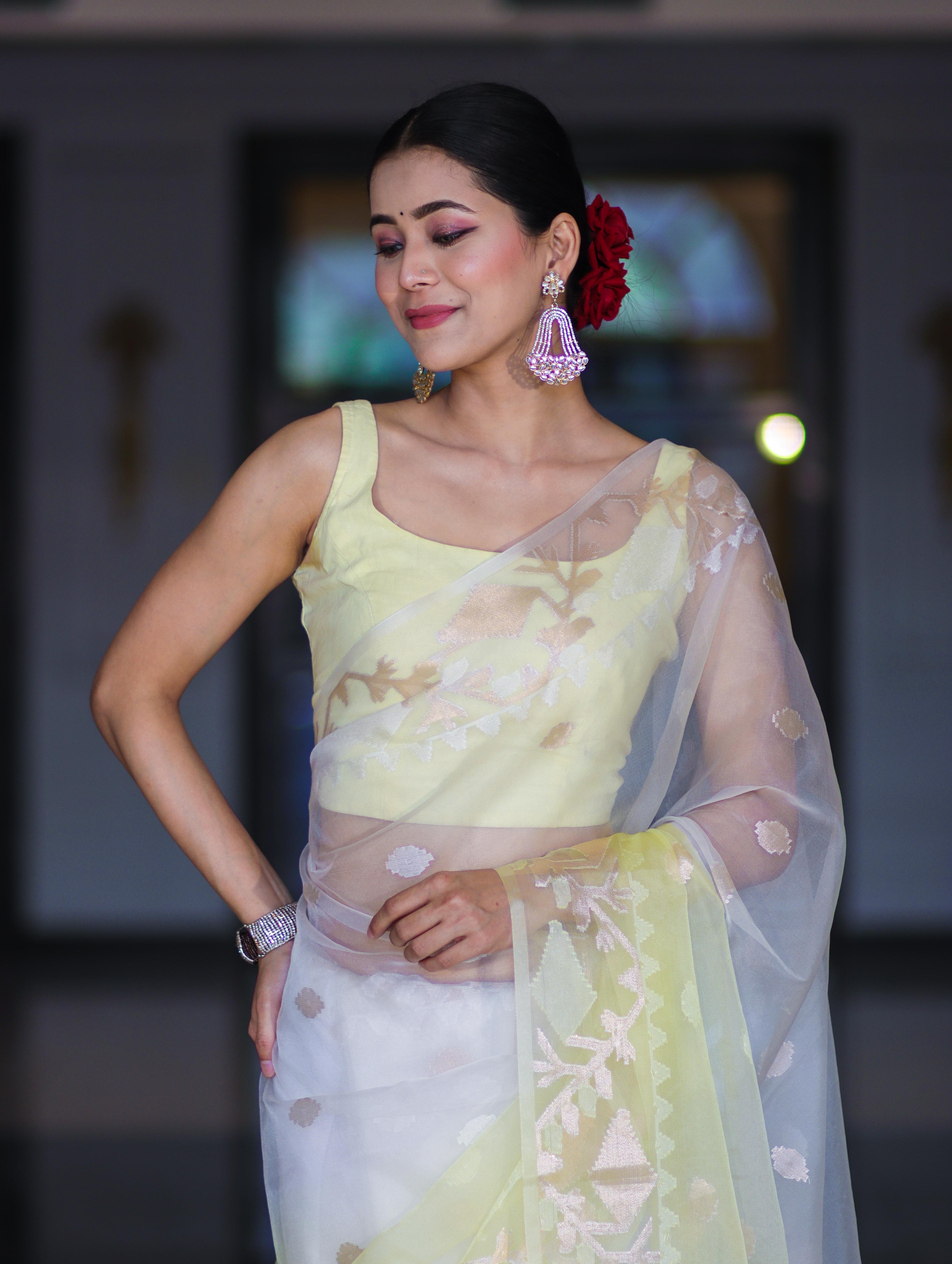 Banarasee Dual Color Organza Mix Saree With Resham & Zari Work-White & Light Yellow