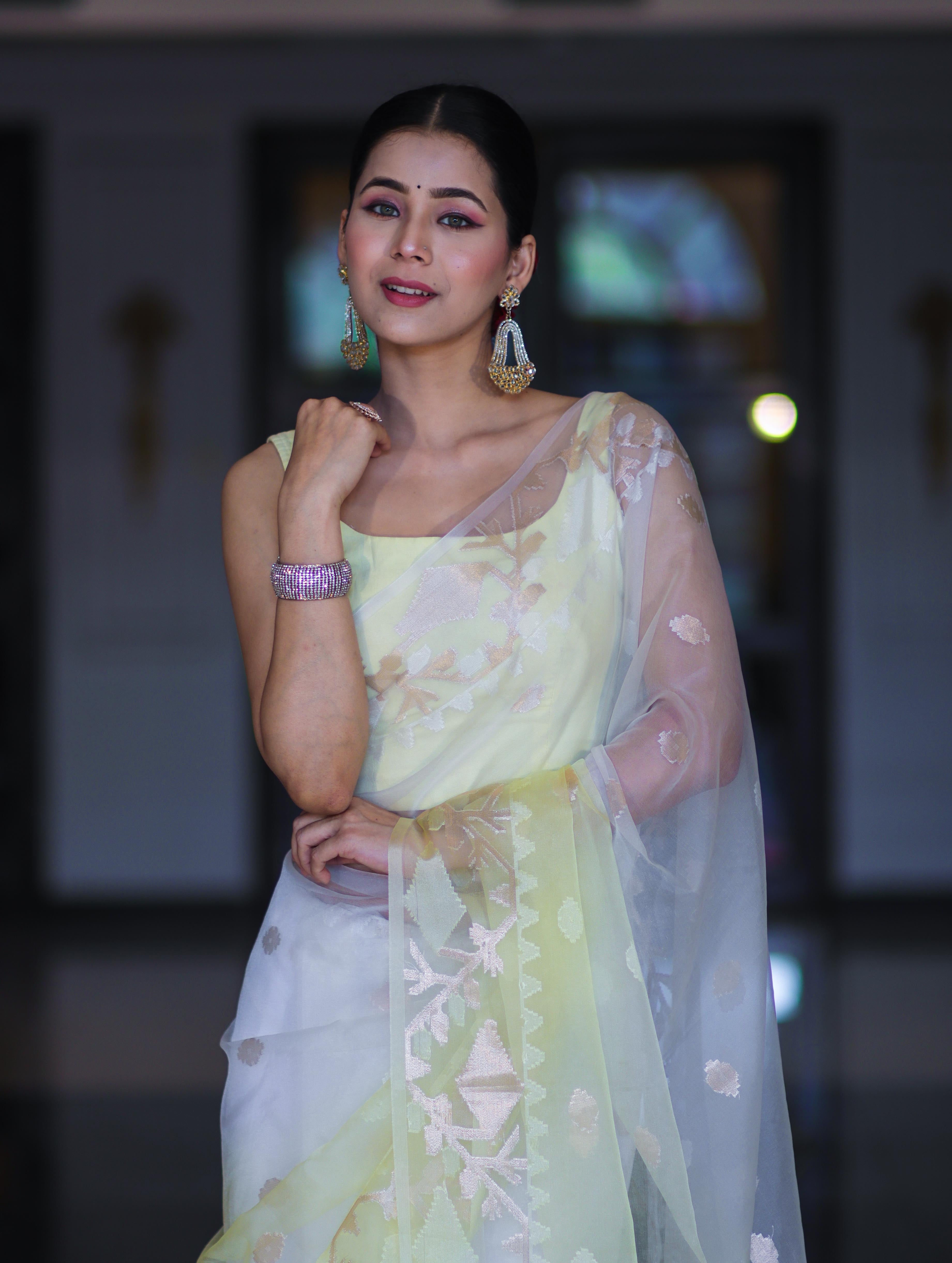 Banarasee Dual Color Organza Mix Saree With Resham & Zari Work-White & Light Yellow