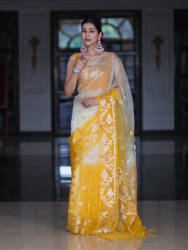 Banarasee Dual Color Organza Mix Saree With Zari Work-Yellow (Dual Tone)