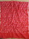 Banarasee Kota Doria Hand-Embroidered Salwar Kameez With Contrast Dupatta Set-White & Red