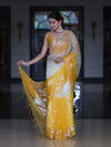 Banarasee Dual Color Organza Mix Saree With Zari Work-Yellow (Dual Tone)