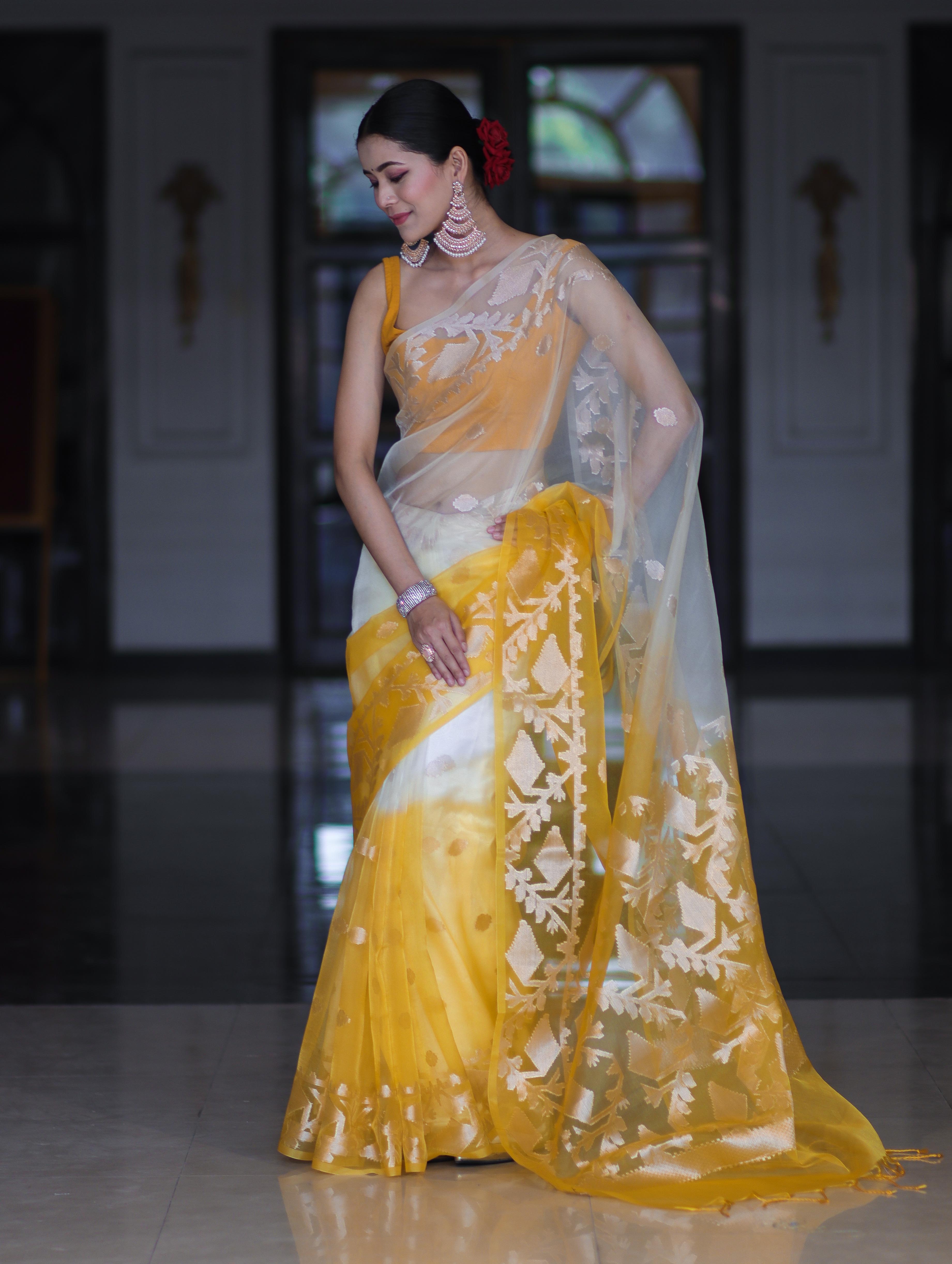Banarasee Dual Color Organza Mix Saree With Zari Work-Yellow (Dual Tone)