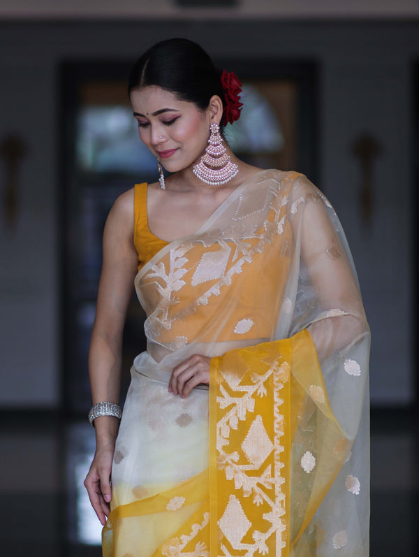 Banarasee Dual Color Organza Mix Saree With Zari Work-Yellow (Dual Tone)