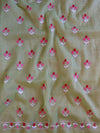 Banarasee Kota Doria Hand-Embroidered Salwar Kameez With Dupatta Set-Green