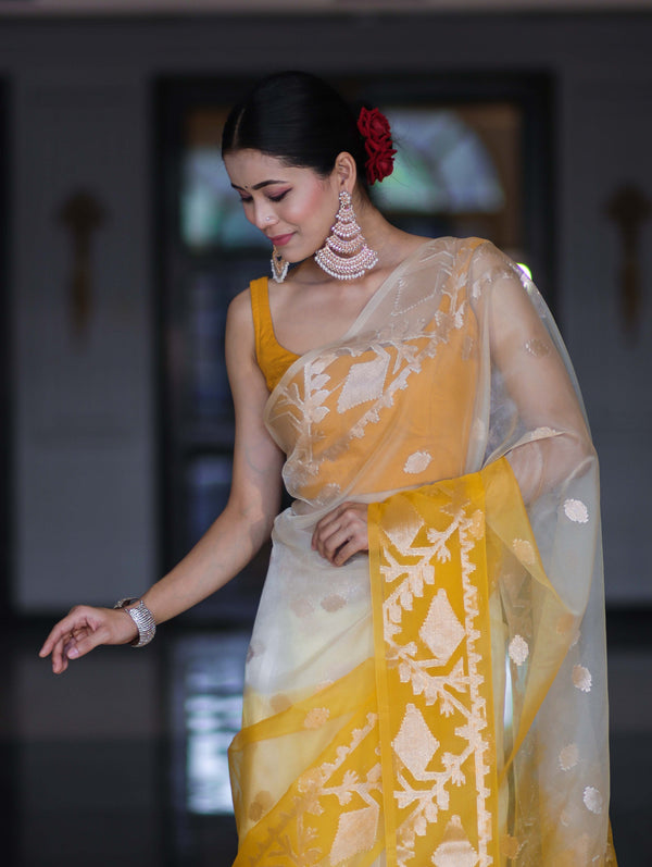 Banarasee Dual Color Organza Mix Saree With Zari Work-Yellow (Dual Tone)