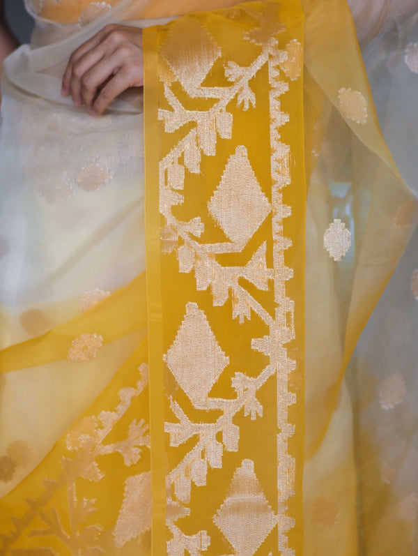 Banarasee Dual Color Organza Mix Saree With Zari Work-Yellow (Dual Tone)