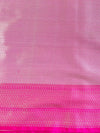 Banarasee Organza Mix Saree With Jaal Design & Floral Border-White & Blue