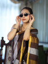 Bhagalpur Handloom Pure Linen Saree With Gold & Silver Stripes-Brown