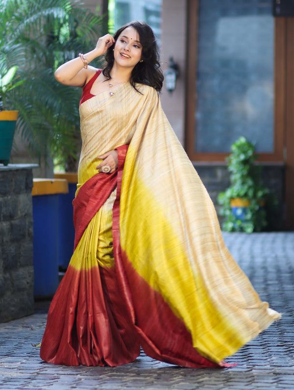 Bhagalpuri Handloom Pure Tussar Saree-Multicolor