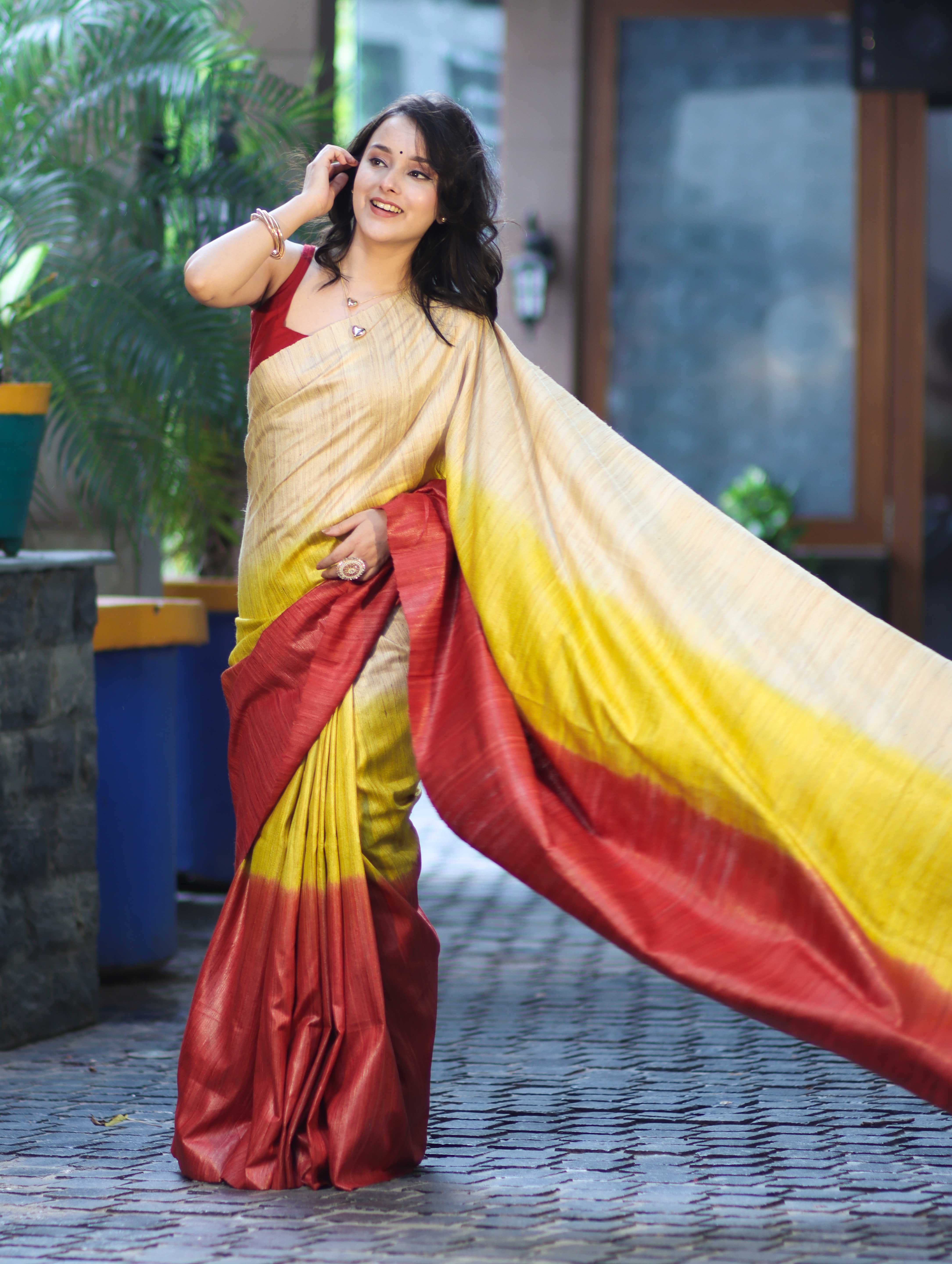 Bhagalpuri Handloom Pure Tussar Saree-Multicolor