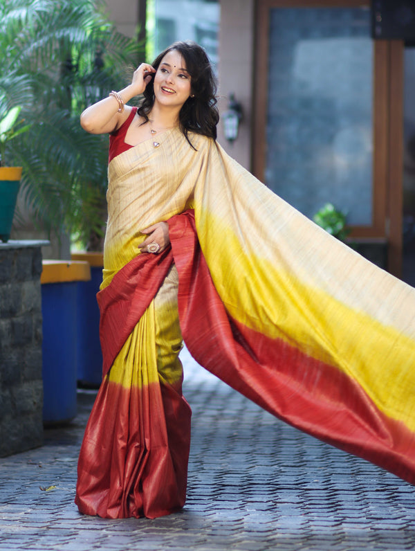 Bhagalpuri Handloom Pure Tussar Saree-Multicolor