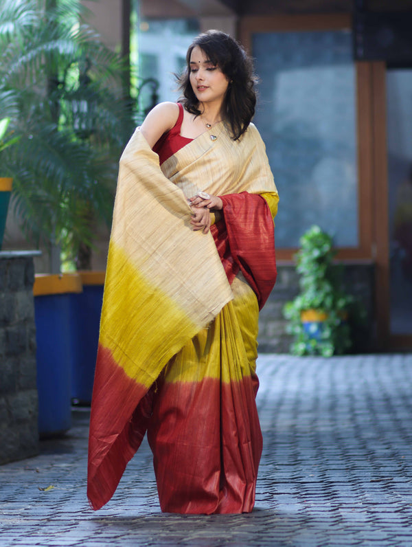 Bhagalpuri Handloom Pure Tussar Saree-Multicolor