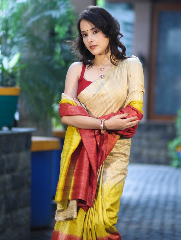 Bhagalpuri Handloom Pure Tussar Saree-Multicolor