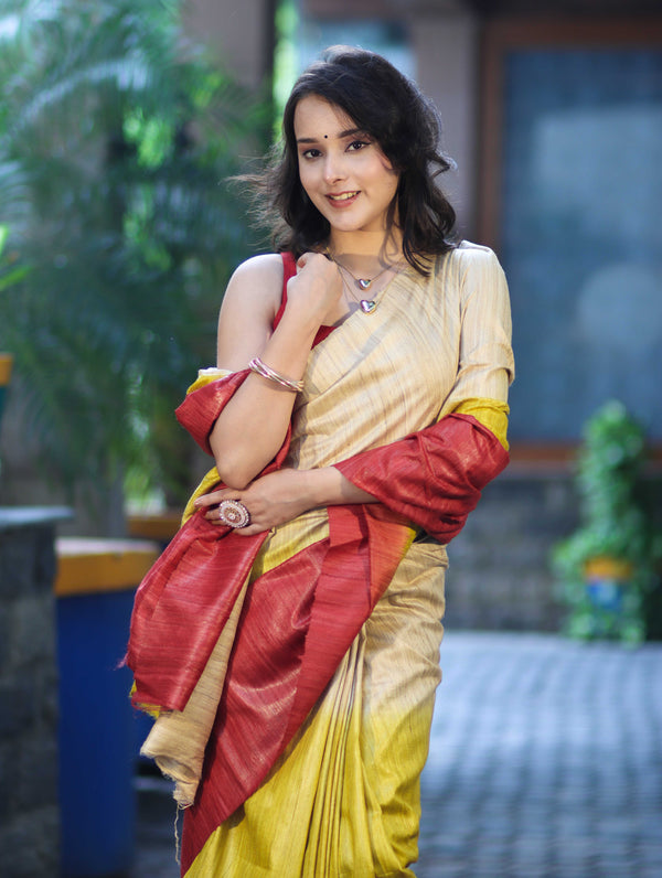 Bhagalpuri Handloom Pure Tussar Saree-Multicolor