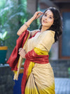 Bhagalpuri Handloom Pure Tussar Saree-Multicolor