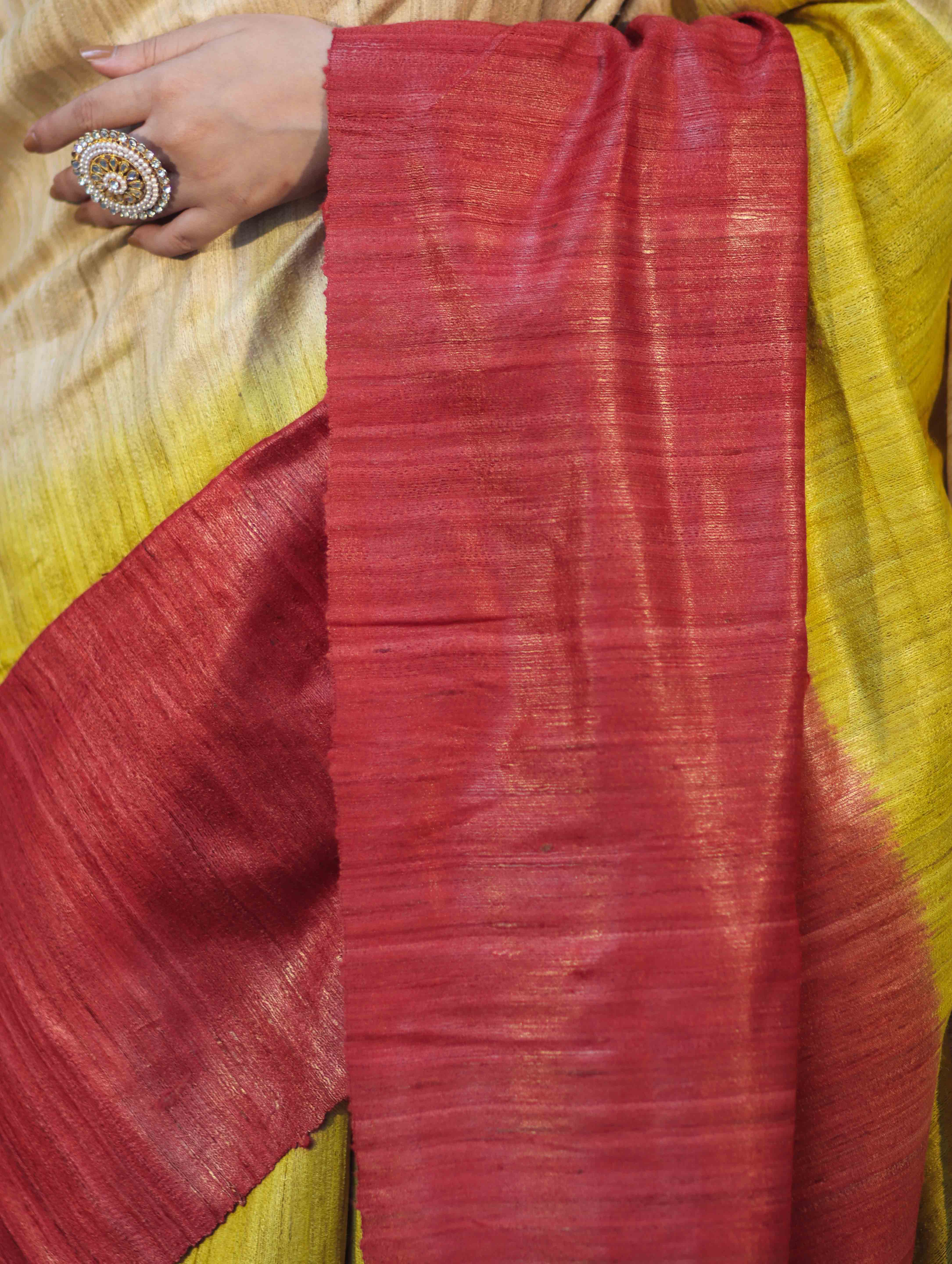 Bhagalpuri Handloom Pure Tussar Saree-Multicolor
