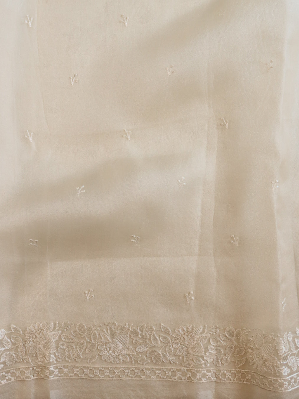 Banarasee Pure Organza Silk Saree With Floral Resham Embroidery-Cream