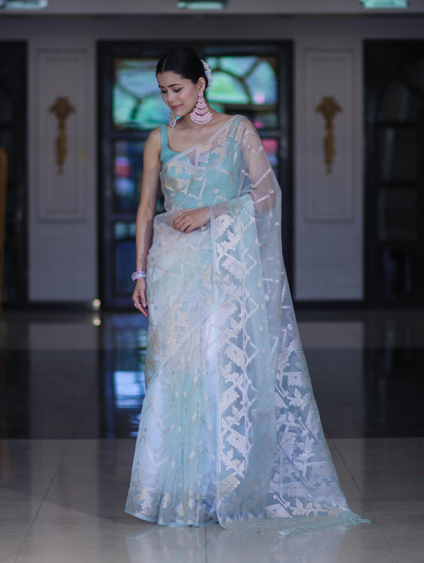 Banarasee Dual Color Organza Saree With Zari Jaal Design-Mint Green & Light Yellow