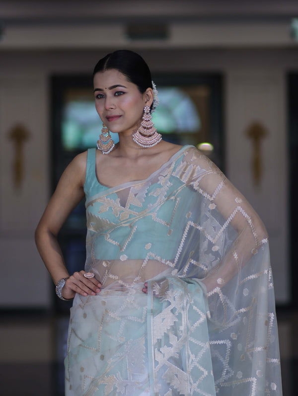 Banarasee Dual Color Organza Saree With Zari Jaal Design-Mint Green & Light Yellow