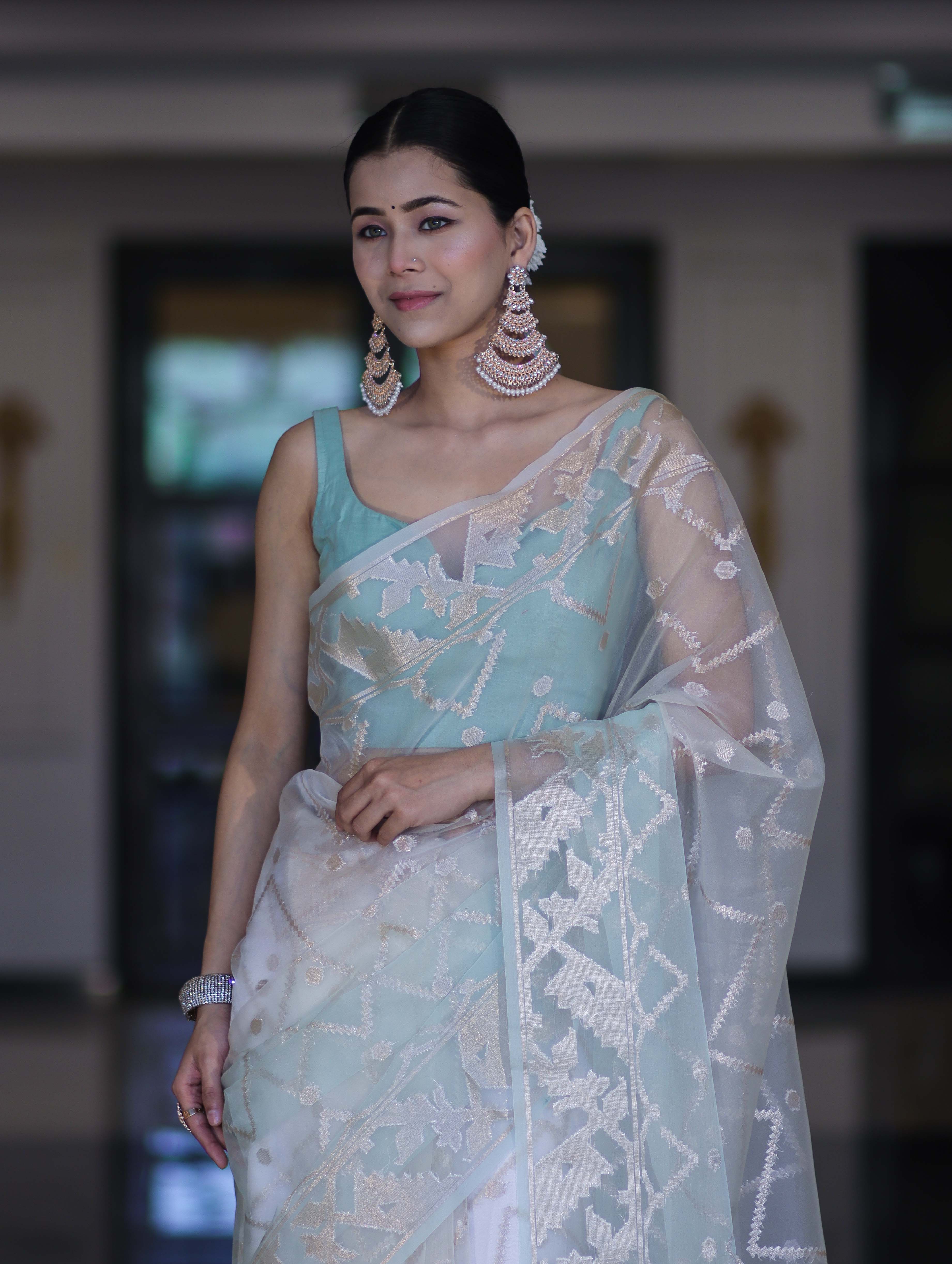 Banarasee Dual Color Organza Saree With Zari Jaal Design-Mint Green & Light Yellow