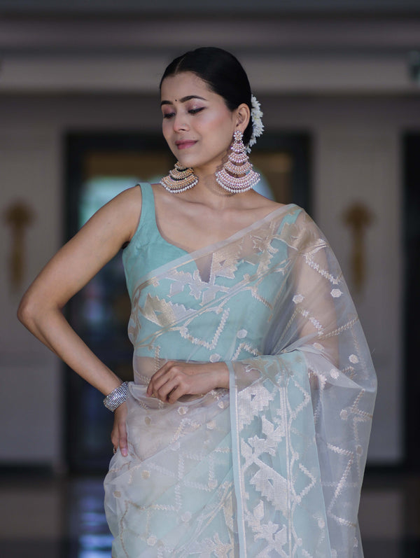 Banarasee Dual Color Organza Saree With Zari Jaal Design-Mint Green & Light Yellow