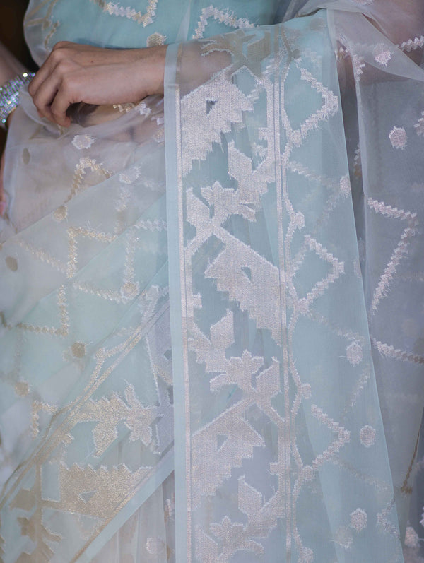 Banarasee Dual Color Organza Saree With Zari Jaal Design-Mint Green & Light Yellow